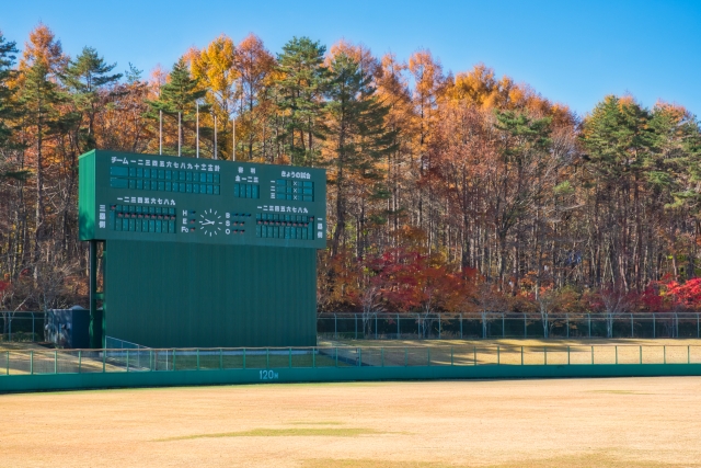 紅葉と野球場